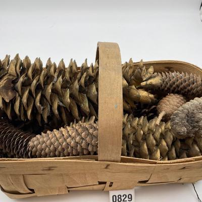 Pinecones in a basket