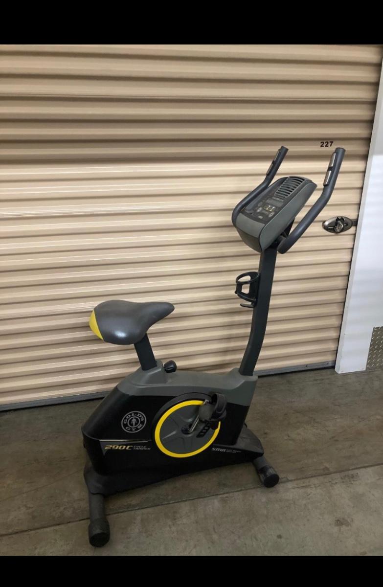 Golds Gym 290cc Cycle Trainer EstateSales