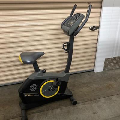 Golds Gym 290cc Cycle Trainer