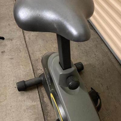 Golds Gym 290cc Cycle Trainer