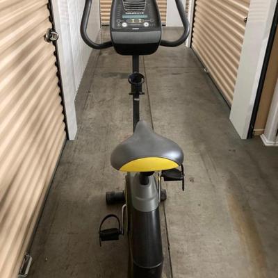 Golds Gym 290cc Cycle Trainer