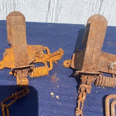 Vintage Traps