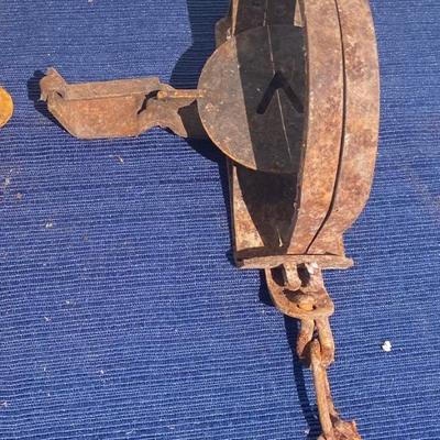 Vintage Traps