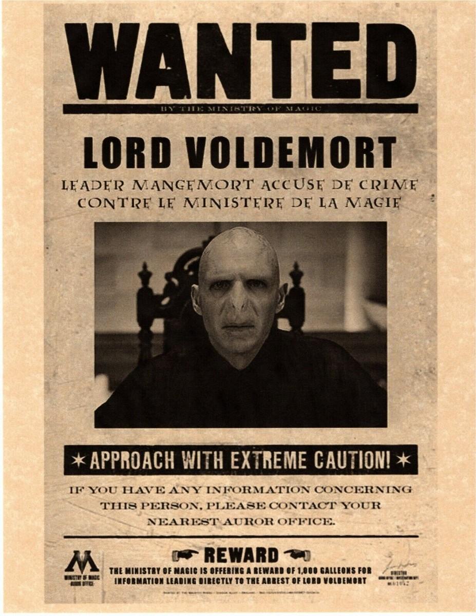 Harry Potter Hogwarts Wanted Prop Print | EstateSales.org