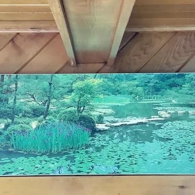 Lot 318 Pond/Nature Scenery Print on Canvas