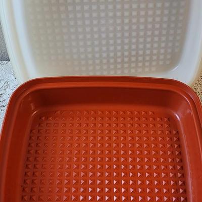 Tupperware Container, Ice Trays and Storage Container with Measuring Cup