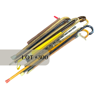 Lot 300 | Ten Canes | One Umbrella