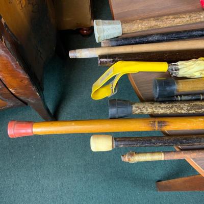 Lot 300 | Ten Canes | One Umbrella