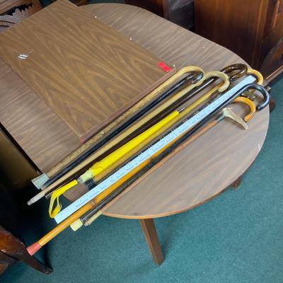 Lot 300 | Ten Canes | One Umbrella