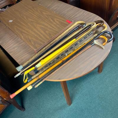 Lot 300 | Ten Canes | One Umbrella