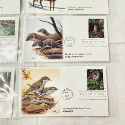 10 - FIRST DAY STAMPS - NORTHEAST DECIDUOUS FOREST