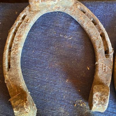 Vintage Horse Shoes