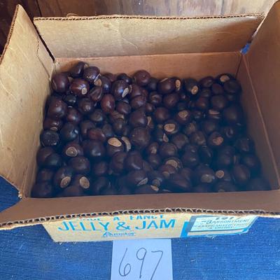 Vintage Box of Buckeyes
