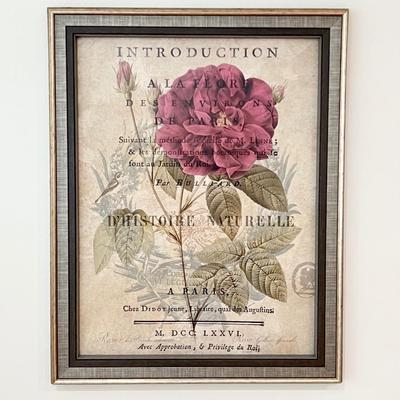 DEBORAH DEVELLIER ~ Botanique ~ Framed Wall Print