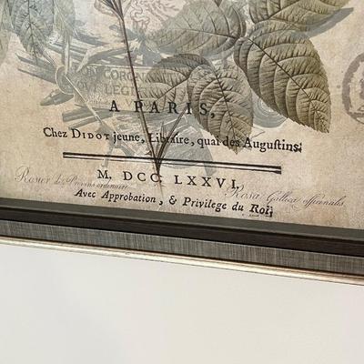 DEBORAH DEVELLIER ~ Botanique ~ Framed Wall Print