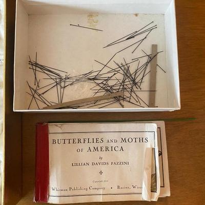 Collection of Butterflies, rocks and nature books