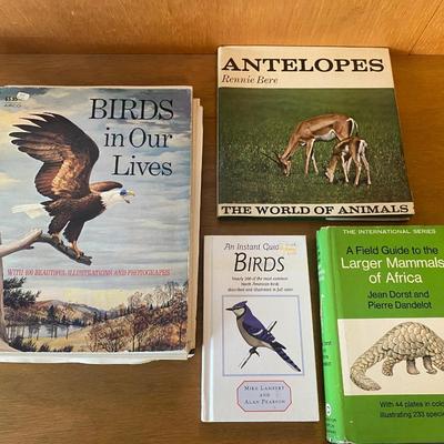 Collection of Butterflies, rocks and nature books