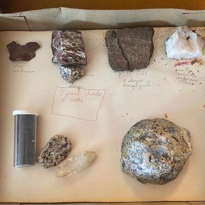Collection of Butterflies, rocks and nature books