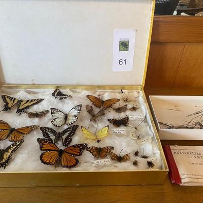 Collection of Butterflies, rocks and nature books