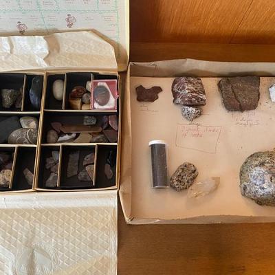 Collection of Butterflies, rocks and nature books