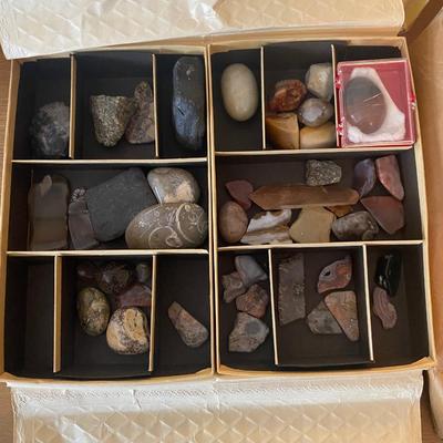 Collection of Butterflies, rocks and nature books