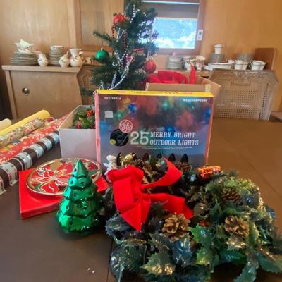 Large holiday lot