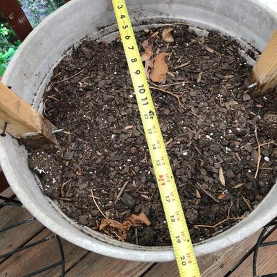 Three Plant Pots & Two Plant Stands -Lot 412