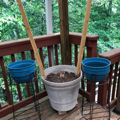 Three Plant Pots & Two Plant Stands -Lot 412