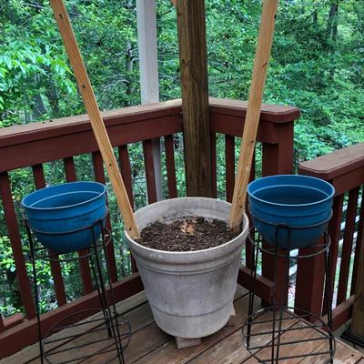Three Plant Pots & Two Plant Stands -Lot 412