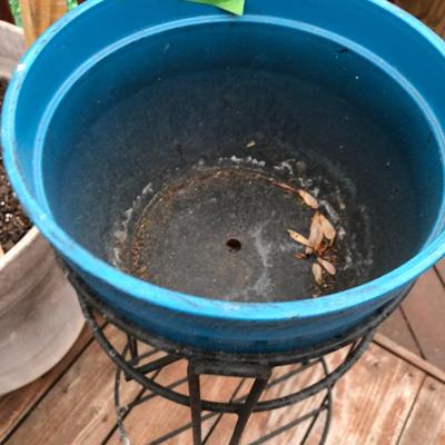 Three Plant Pots & Two Plant Stands -Lot 412