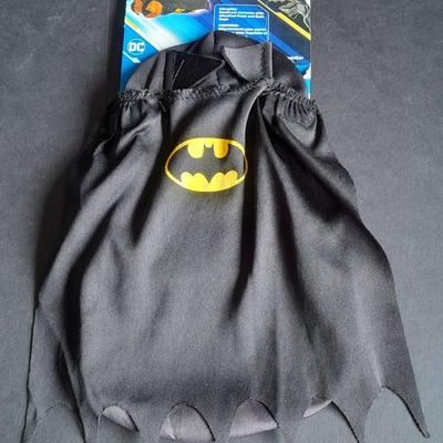 DC Batman small pet costume with BANE The Dark Knight Special edition Print from Mondo