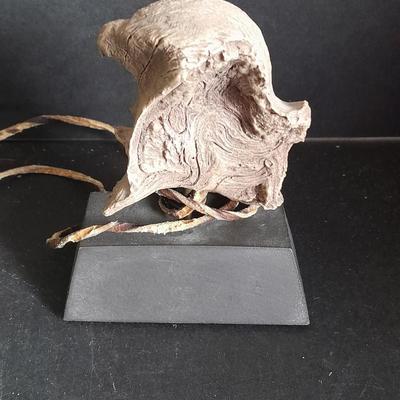 Limited Edition Cain Red Tailed Hawk Limited edition statue and Fishing Legends Plaque / shadow box