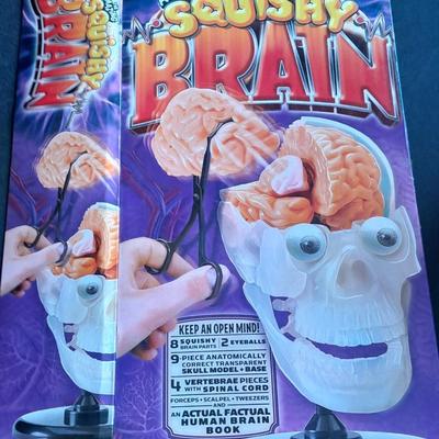 SmarLlab Heads up Use your Brain to build this brain! Two brains are better than one!