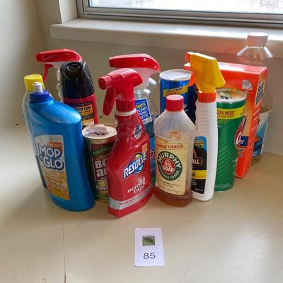 Group of cleaning supplies