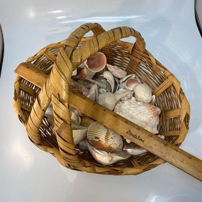 Large Wicker Basket Full of Various Seashells Beachy Coastal Decor
