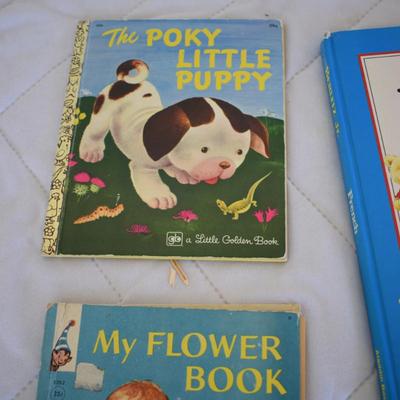 Lot of vintage children's books