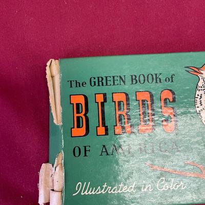 Birds of America, old picture and plate holder