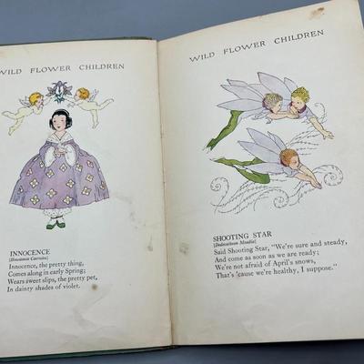 Antique Wild Flower Children The Little Playmates of the Fairies by Elizabeth Gordon Cute Fantasy Illustrated Book