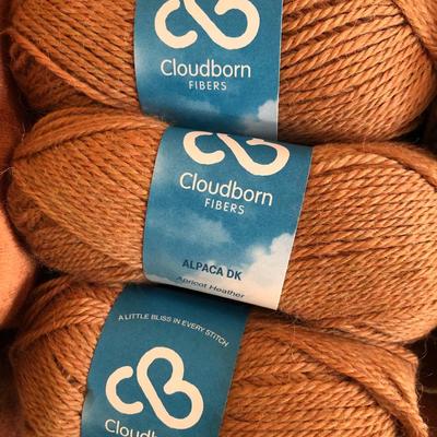 Large Yarn Lot #2 (Cloudborn Alpaca/Wool, Goshen Valley Yarns, Debbie Bliss Baby Cashmere, Candide Virgin Wool) -Lot 419