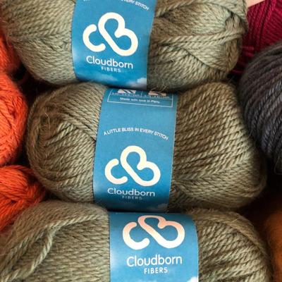 Large Yarn Lot #2 (Cloudborn Alpaca/Wool, Goshen Valley Yarns, Debbie Bliss Baby Cashmere, Candide Virgin Wool) -Lot 419