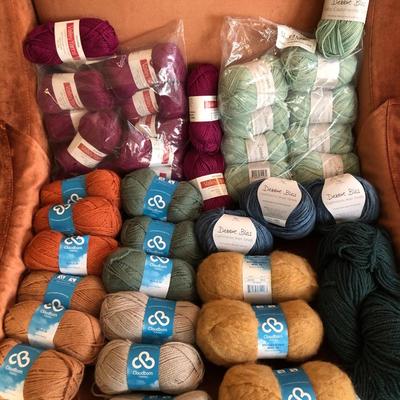 Large Yarn Lot #2 (Cloudborn Alpaca/Wool, Goshen Valley Yarns, Debbie Bliss Baby Cashmere, Candide Virgin Wool) -Lot 419