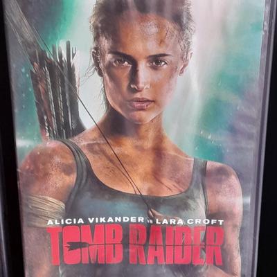 Ten Movies on DVD Dawn of the Dead, Hidalgo, Clerks, Far and Away, and more great titles