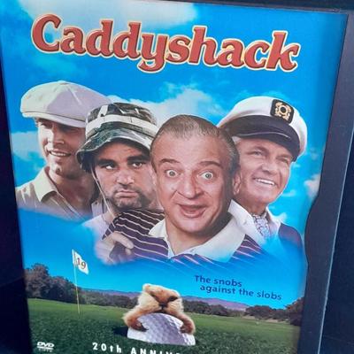 Movies on DVD Harry Potter, Caddy Shack, Vampires, The Break-up, Hee Haw and other great movies !