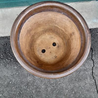 Nice 14" Blue and Black Clay Plant pot holds a 12" Plant