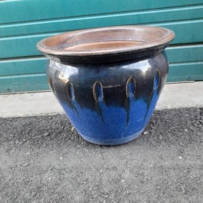 Nice 14" Blue and Black Clay Plant pot holds a 12" Plant