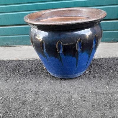 Nice 14" Blue and Black Clay Plant pot holds a 12" Plant