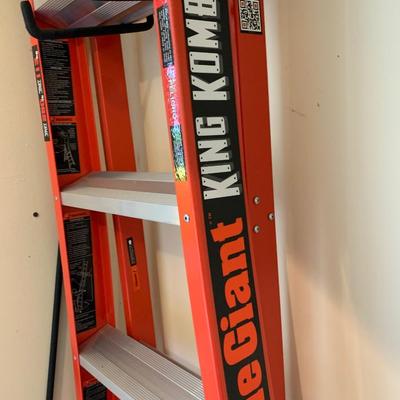 Little Giant 250 Lb Max Ladder