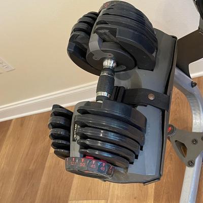 BOWFLEX ~ Select Tech Dumbbells With Stand