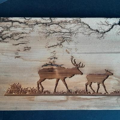 Wildlife Fracted Artwork, Elk in woods