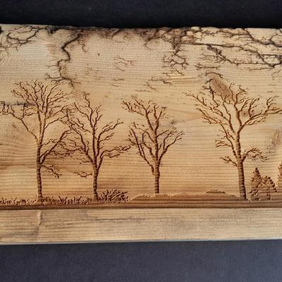 Wildlife Fracted Artwork, Elk in woods